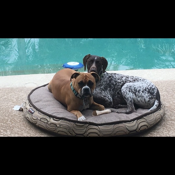 Julie Posh Ambassador - Picture 7 of 9